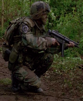 Woodland Camo