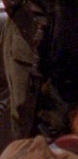 Daniel's Knife